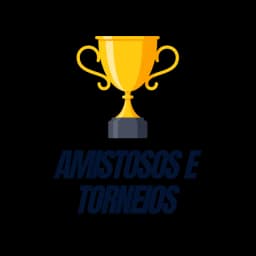 Amistosos e torneios